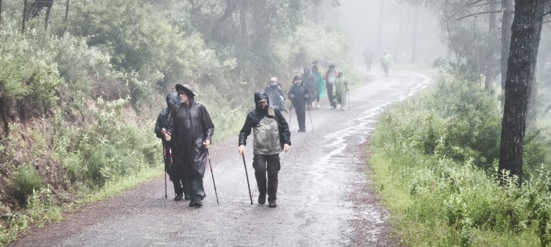 CAMINADO BAJO LA LLUVIA